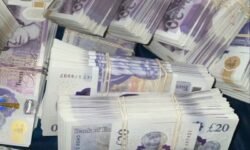 What to Expect from GambleZen’s UK Experience